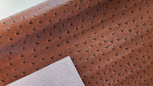 Load image into Gallery viewer, Ostrich Textured Vinyl