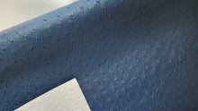 Load image into Gallery viewer, Ostrich Textured Vinyl