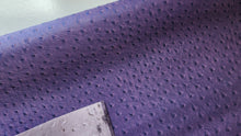 Load image into Gallery viewer, Ostrich Textured Vinyl