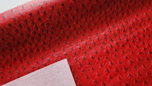 Load image into Gallery viewer, Large Ostrich Textured Vinyl