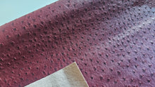 Load image into Gallery viewer, Ostrich Vinyl