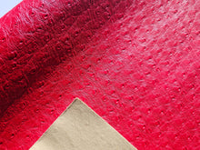 Load image into Gallery viewer, Smooth Ostrich Vinyl