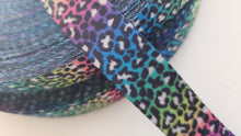 Load image into Gallery viewer, 1 Inch Webbing Rainbow Leopard - Polyester
