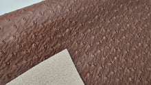 Load image into Gallery viewer, Large Ostrich Textured Vinyl
