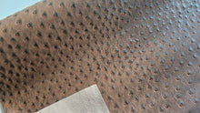 Load image into Gallery viewer, Ostrich Textured Vinyl
